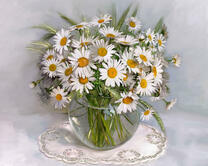 Без бренда «2KMA-0021» в Твери