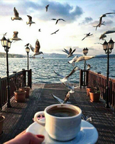 Без бренда «Кофе с видом на чаек» в Твери