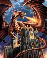 Без бренда «Дракон огня и молний» в Твери