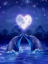 Без бренда «2KSB-0767» в Твери