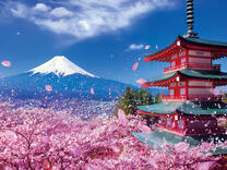 Без бренда «2KSB-7277» в Твери