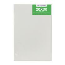 Без бренда «Коробка 80 шт.: Холст Две картинки на подрамнике 20X30» в Твери