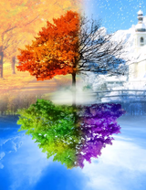 Без бренда «BOX10-2KLB-6100» в Твери