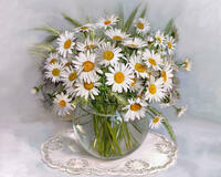 Без бренда «BOX20-2KMA-0021» в Твери