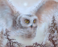 Без бренда «Полярная сова над лесом (20шт)» в Твери