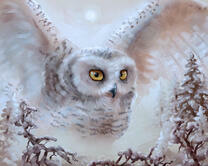 Без бренда «Полярная сова над лесом (20шт)» в Твери