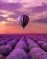 Без бренда «BOX20-2KMB-4091» в Твери