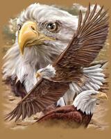 Без бренда «Коробка 20 шт: Орёл крупным планом» в Твери