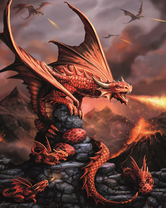 Без бренда «BOX20-2KMB-4923» в Твери