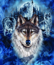 Без бренда «BOX40-2KXSB-0687» в Твери