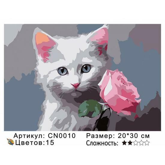 Картина по номерам 20x30 CN0010