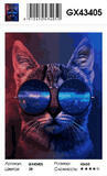 Картина по номерам 40x50 Кот со вселенной в очках