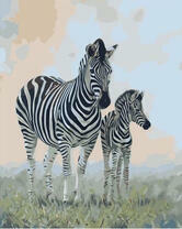 Зебра с малышом