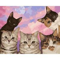 Без бренда «Такие разные котики» в Твери в интернет-магазине  Без бренда «Такие разные котики» в Твери