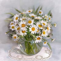 Без бренда «Букет свежих ромашек» в Твери