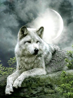 Без бренда «Коробка 25 шт. картин по номерам BOX25-GX21058» в Твери в интернет-магазине  Без бренда «Коробка 25 шт. картин по номерам BOX25-GX21058» в Твери