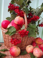 Без бренда «Коробка 25 шт. картин по номерам BOX25-GX5174» в Твери