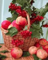 Без бренда «Плетёная корзина с калиной и яблоками» в Твери