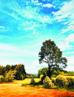 Без бренда «Осенний пейзаж с голубым небом» в Твери в интернет-магазине  Без бренда «Осенний пейзаж с голубым небом» в Твери