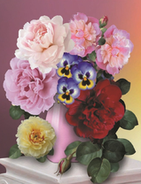 Пионы, розы и анютины глазки