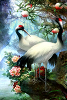 Без бренда «Коробка 25 шт. картин по номерам BOX25-GX29399» в Твери в интернет-магазине  Без бренда «Коробка 25 шт. картин по номерам BOX25-GX29399» в Твери