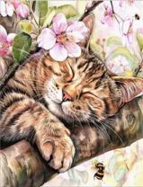 Без бренда «Волосатый котик спит на ветви яблони» в Твери