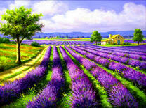 Благоухающее поле лаванды